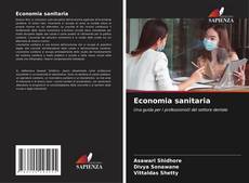 Economia sanitaria的封面