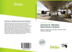 Charles B. Wheeler Downtown Airport kitap kapağı
