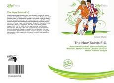 Buchcover von The New Saints F.C.