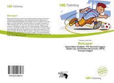 Copertina di Boluspor