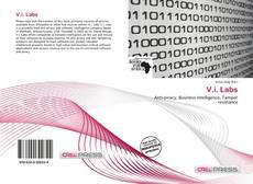 Capa do livro de V.i. Labs 