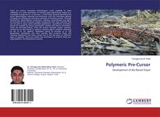 Capa do livro de Polymeric Pre-Cursor 