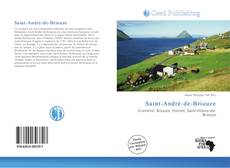 Bookcover of Saint-André-de-Briouze