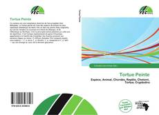 Copertina di Tortue Peinte