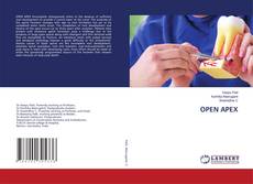 Buchcover von OPEN APEX