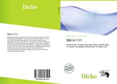 Обложка SM U-111