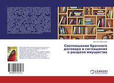 Соотношение брачного договора и соглашения о разделе имущества kitap kapağı