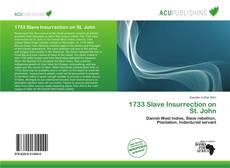 Copertina di 1733 Slave Insurrection on St. John