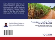 Copertina di Production of Furfural From Sugarcane Bagasse