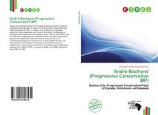 Copertina di André Bachand (Progressive Conservative MP)