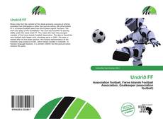 Copertina di Undrið FF