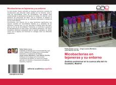 Couverture de Micobacterias en tejoneras y su entorno