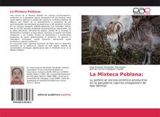 Обложка La Mixteca Poblana: