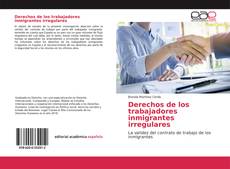 Copertina di Derechos de los trabajadores inmigrantes irregulares