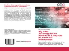 Copertina di Big Data: Autorregulación normativa e impacto en derechos individuales