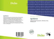 Portada del libro de Iguidance