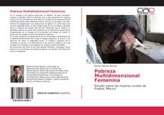 Copertina di Pobreza Multidimensional Femenina