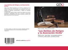 "Los Delitos de Peligro y la Asociación Ilícita"的封面