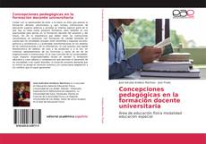 Concepciones pedagógicas en la formación docente universitaria kitap kapağı