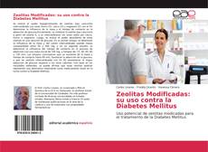 Capa do livro de Zeolitas Modificadas: su uso contra la Diabetes Mellitus 