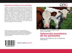 Capa do livro de Valoración económica de los pastizales 