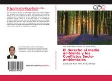 Обложка El derecho al medio ambiente y los Conflictos Socio-ambientales