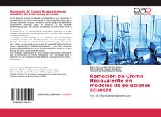 Capa do livro de Remoción de Cromo Hexavalente en modelos de soluciones acuosas 