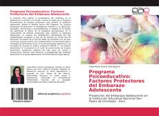 Bookcover of Programa Psicoeducativo: Factores Protectores del Embarazo Adolescente