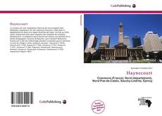 Capa do livro de Haynecourt 