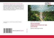 Aprendizaje organizacional en las escuelas的封面