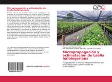 Bookcover of Micropropagación y aclimatación de Laelia halbingeriana