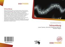 Bookcover of Schaumburg