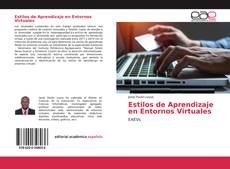 Estilos de Aprendizaje en Entornos Virtuales kitap kapağı