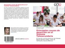Principales causas de deserción en el Sistema Telesecundaria kitap kapağı
