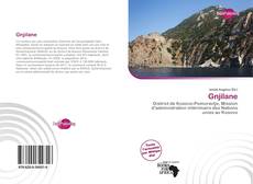 Portada del libro de Gnjilane