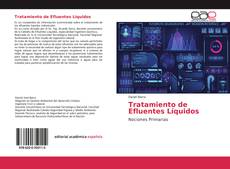 Borítókép a  Tratamiento de Efluentes Líquidos - hoz