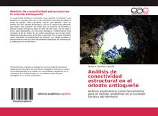 Borítókép a  Análisis de conectividad estructural en el oriente antioqueño - hoz