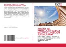 Copertina di ESTUDIO DEL PANDILLAJE Y BARRAS BRAVAS DEL POBLADO JUVENIL CAYMA