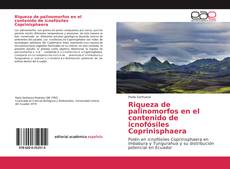 Riqueza de palinomorfos en el contenido de icnofósiles Coprinisphaera kitap kapağı