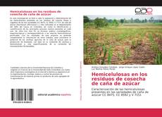 Capa do livro de Hemicelulosas en los residuos de cosecha de caña de azúcar 