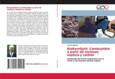 BioKernSprit. Combustible a partir de residuos, madera y carbón的封面