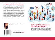 Principales Factores Socioeconómicos kitap kapağı
