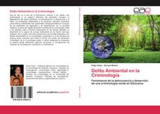 Copertina di Delito Ambiental en la Criminología