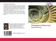 Pedagogía del Bienestar的封面