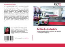 Calidad e industria kitap kapağı