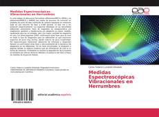 Couverture de Medidas Espectroscópicas Vibracionales en Herrumbres