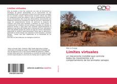 Copertina di Límites virtuales