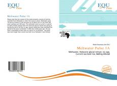 Meltwater Pulse 1A kitap kapağı