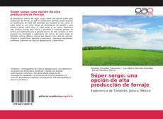 Couverture de Súper sorgo: una opción de alta producción de forraje