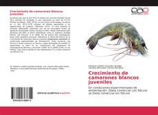 Couverture de Crecimiento de camarones blancos juveniles